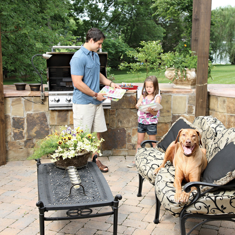 PetSafe® Rechargeable InGround Pet Fence System & Reviews Wayfair